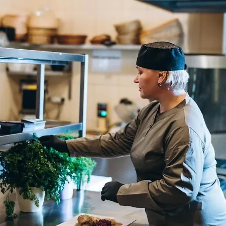 Dworek Magnat 3* موديلينيتشكا