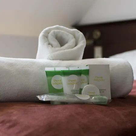 住宿加早餐酒店 Dworek Magnat 3*